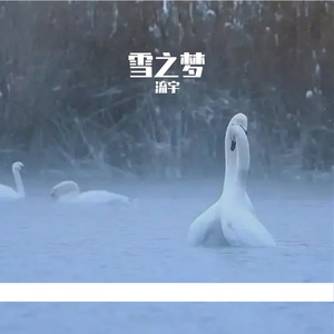 雪之梦
