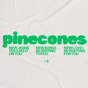 Pincones