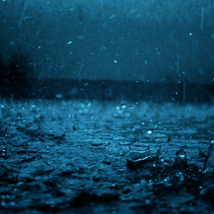 雨夜