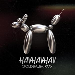 HAVHAVHAV (Radio Edit)