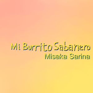 Mi Burrito Sabanero