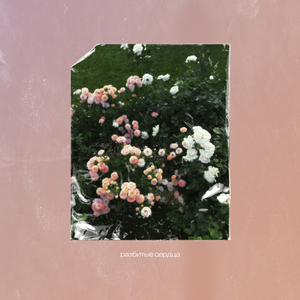 Дикая любовь