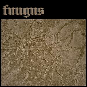 Fungus
