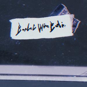 If Everything Sparkles Nothing Can Shine