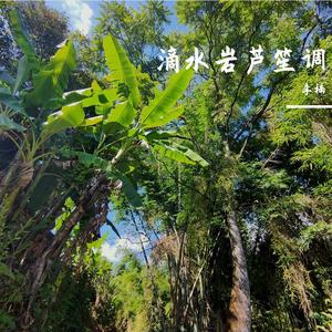 滴水岩芦笙调第二调