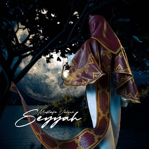 Seyyah