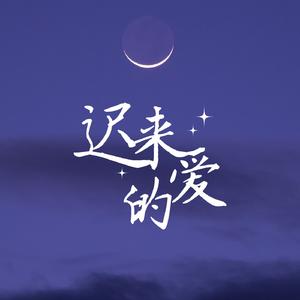 迟来的爱