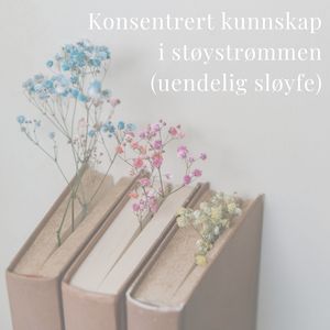 Hvit støy fra kunnskapsreisen (Endless Loop)