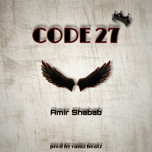 Code 27