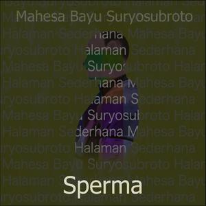 Lampu Merah Terakhir