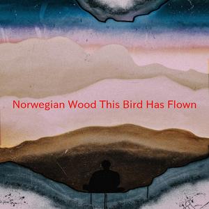 Norwegian Wood (This Bird Has Flown) (Complete version originally performed by The Beatles)