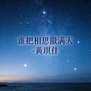 谁把相思撒满天 (DJ涵柱版)