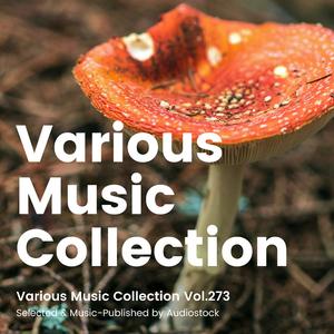 The Truth You Believe In