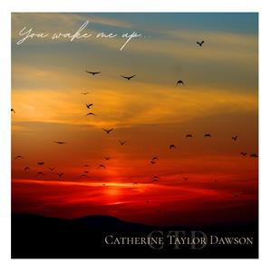 You Wake Me Up (Acoustic Version)