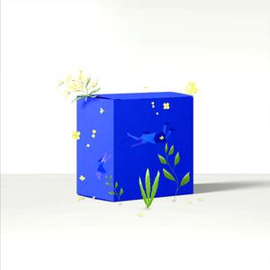 周三（Wednesday）