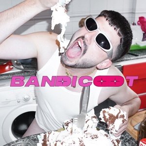 BANDICOOT