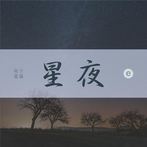星夜