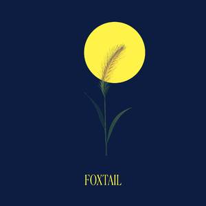 Foxtail