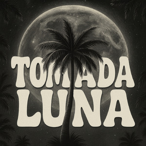 TOMADA LUNA (SLOWED+REVERB)