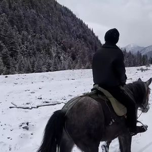 随风治愈-轻音乐43