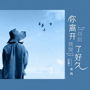 你离开以后我哭了好久 (DJ版)