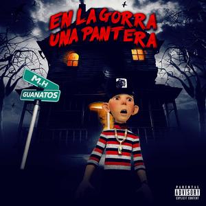 En La Gorra Una Pantera