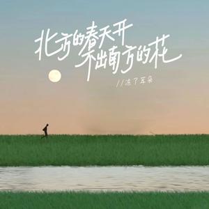 北方的春天开不出南方的花（DJ九零版伴奏）