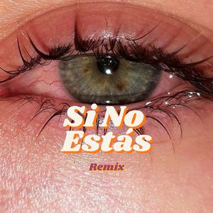Si No Estás (Remix)