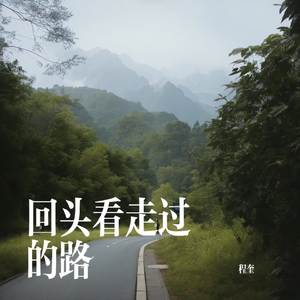 回头看走过的路
