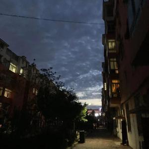 再见吧喵小姐(Cover:王晓天）（翻自 王晓天）