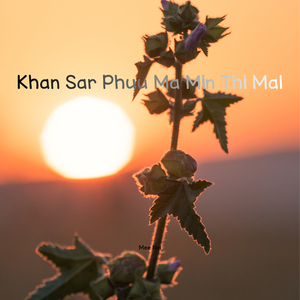 Khan Sar Phuu Ma Min Thi Mal