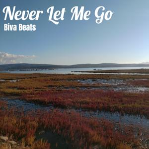 Never Let Me Go
