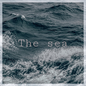 The Sea