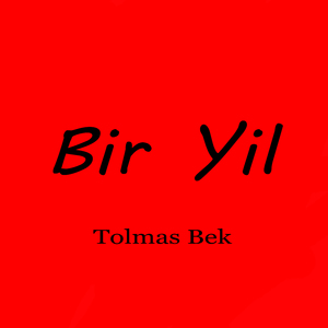Bir Yil