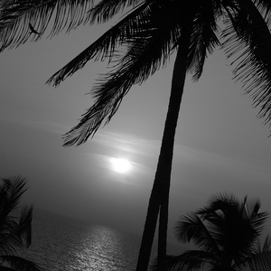 Velenas Tu Manęs Nelauki (Refresh 2022)