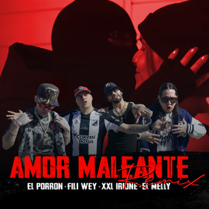 Amor Maleante Remix