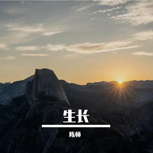 晨鸟唤醒的山林雾霭之梦