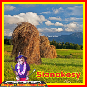 Sianokosy