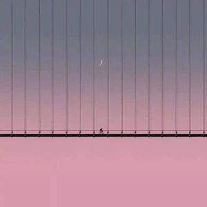 萱草花（翻唱）