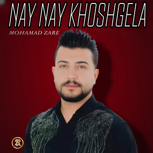 Nay Nay Khoshgela