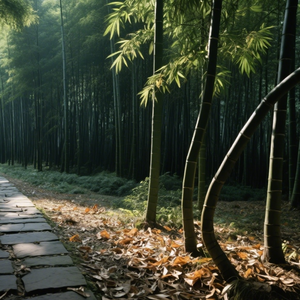 你欠我的承诺（古风版）