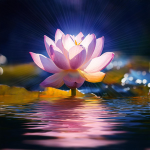 Notas De Expresión Cálida