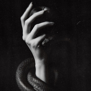 SNAKES