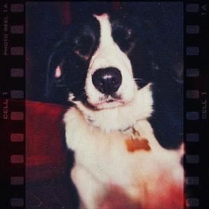 Communication Recieved (feat. Kerb Krawler)