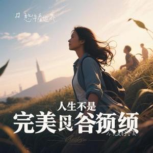 不完美的答案