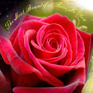 The Most Beautiful Rose Is You (Rhapsody of Love)