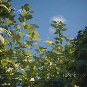 冷风吹过  (Remix)