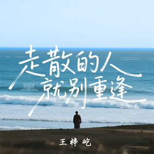 走散的人就别重逢