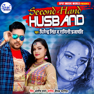 Second Hand Husband