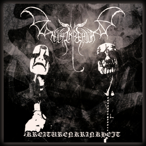 X. Schattenschänder